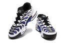 Air Max TN Plus Drifit "Purple Grey"
